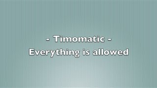 Timomatic  Everything is allowed Lyrics [upl. by Floss109]