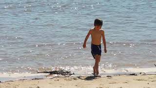 Boys playing in water at Goosepoint Landing Philpott Lake Virginia October 24 [upl. by Ahsimin]