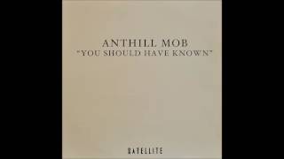 Anthill Mob ‎– You Should Have Known Todd Edwards You Should Have Vocalised Dub [upl. by Saxela915]