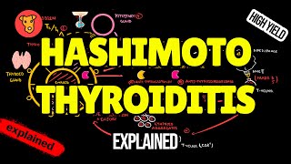 HASHIMOTO THYROIDITIS Pathogenesis Clinical Symptoms Treatment [upl. by Capello]