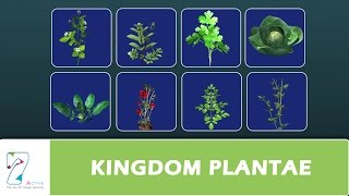 KINGDOM PLANTAE [upl. by Diana716]