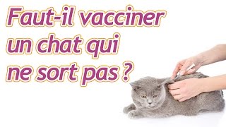 Fautil vacciner un chat qui ne sort pas [upl. by Airdnaz172]