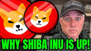 WHY SHIBA INU IS ROCKETING UP FIND OUT NOW [upl. by Leeanne]