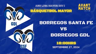 LIGA MAYOR ABE VARONIL DIV I EN VIVO 🔴  BORREGOS CSF VS BORREGOS GDL  AVANT MATCH [upl. by Tterb400]