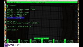 Running a GPU job on HPC Cluster [upl. by Nolham]
