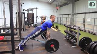 Bench supported barbell row V1 [upl. by Ahset]