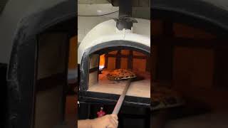 Portable Wood Gas Fired Pizza Oven  Available on IndiaMART [upl. by Hartman]