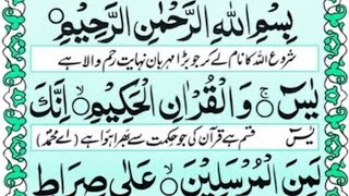 Surah Yaseen Full  Surah Yasin Shareef  سورہ یس  Amir Taqi [upl. by Alyat]