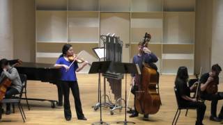 Elliott Schwartz  Sonata for Violin and Doublebass [upl. by Sahcnip458]