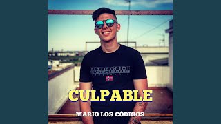 Culpable [upl. by Parrish]