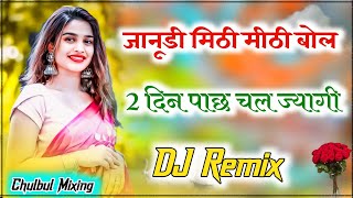 Janudi Mithi Mithi Bol Raji Raji Bol  Meena Song  Love Story Song  Dj Remix [upl. by Adnamal]