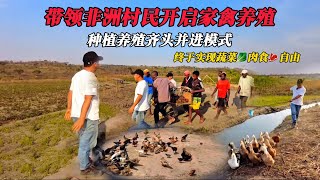 带领非洲村民开启家禽养殖，种植养殖齐头并进，终于实现蔬菜肉食自由 [upl. by Kaden315]