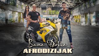 BANE ĐOKIĆ  AFRODIZIJAK OFFICIAL VIDEO [upl. by Atiekahs937]