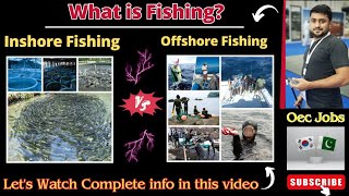 What is fishing  Inshore and Offshore Fishing in Korea Jobs under oec and HRD korea 양식 어업 fish [upl. by Hnaht]