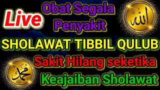 SHOLAWAT TIBBIL QULUB OBAT SEGALA PENYAKITSHOLAWAT TIBBIL QULUB PENENANG HATI [upl. by Mahmud]