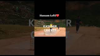 Hasaam lafty  No look shot viralvideo cricket tapeballcricket [upl. by Farand832]