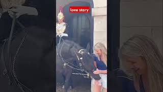 Lovely momentshorse buckinghampalace royalhorseguard tourist horseguard [upl. by Atilal736]