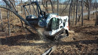 INCREDIBLE BRUSH BEAST Forestry mulcher clearing thick brush [upl. by Hesky]