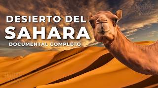 DESIERTO DEL SAHARA  Una Tierra de Extremos  Documental Completo [upl. by Wobniar]