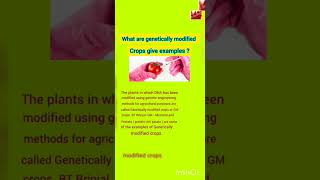 What are genetically modified crops [upl. by Sucramat]