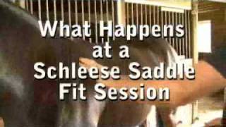 What Happens in a Schleese Saddlery Saddle Fitting Session [upl. by Idnew]