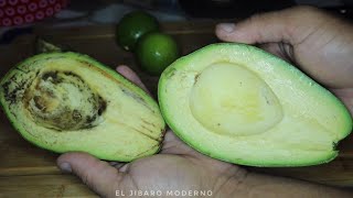 Mira Como Puedes Conservar Aguacate Maduro Para Que Duren Hasta 6 Meses Sin Dañarse [upl. by Ahsrav]