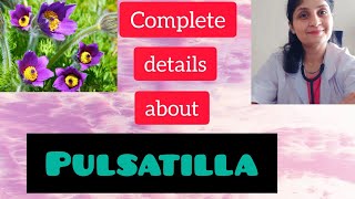 Homeopathy  Pulsatilla  Keynotes  Personality  Rubrics  Remedy [upl. by Esau]