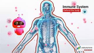 Naturamore Immune Plus Trivia Hindi [upl. by Dearr]