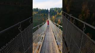 360 Meters Above Epic Views from Geierlay Bridge [upl. by Gifferd]