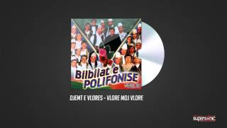 DJEMT E VLORES  VLORE MOJ VLORE  Official Audio [upl. by Ringe985]