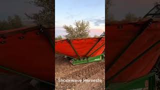 Shockwave Harvester  Unleashing the Power of Agricultural Technology [upl. by Janice]