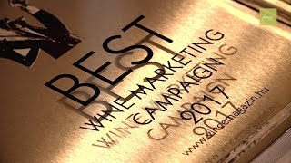 FurmintUSA Wins Best Wine Marketing Campaign  VinCE Awards 2017 [upl. by Suki22]