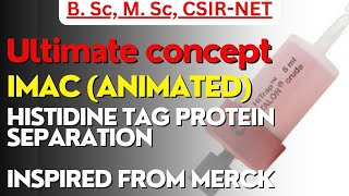 Immobilized metal affinity chromatography IMAC animation csirnet bsc msc cartoon [upl. by Lund69]