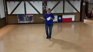 Wintergreen Lernvideo Teach amp Dance Line Dance Biene Teil 1 [upl. by Quincey]