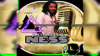 Apache Ness mixDjAndyMixx ness y los sensacionales [upl. by Kinch]