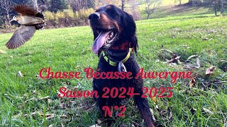 Chasse Bécasse Auvergne saison 2024 2025 n°2 [upl. by Geiger]