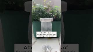 baking soda and vinegar help plants grow better garden gardening plants [upl. by Lavena]