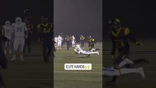 WITNESS THE MOST AMAZING CATCH IN AMERICAN FOOTBALL americanfootball nfl shorts [upl. by Oad]