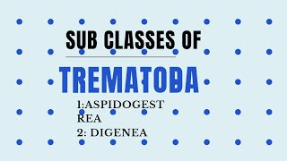 Sub classes of Trematoda AspidogestreaDigenea invertebrates diversity [upl. by Naltiak]