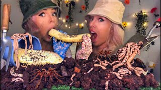 ASMR EATING WORMS GIANT CENTIPEDE EDIBLE GARDENING TOOLS EDIBLE DIRTSOIL MUKBANG  HUNNIBEE ASMR [upl. by Polak772]