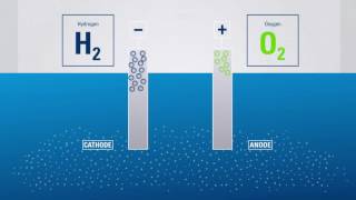 Electrolysis Producing hydrogen from water [upl. by Andi]