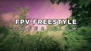 FPV Freestyle  TheGoferFlow [upl. by Yevette]