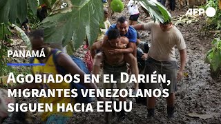 Agobiados en el Darién panameño migrantes venezolanos mantienen la vista en EEUU  AFP [upl. by Mihcaoj73]