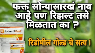 रीडोमिल गोल्ड चे फायदे  Ridomil Gold Fungicide  रीडोमिल गोल्ड digitalyuvashetkari [upl. by Kancler]