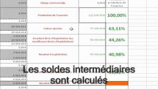 Soldes Intermédiaires de Gestion sur 1001tableurscom [upl. by Lynett]