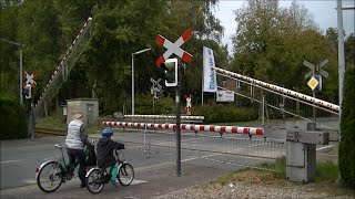 Spoorwegovergang Gronau D  Railroad crossing  Bahnübergang [upl. by Cecilius]