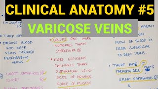 Varicose Veins  Clinical Anatomy  Lower Limb [upl. by Nayra]