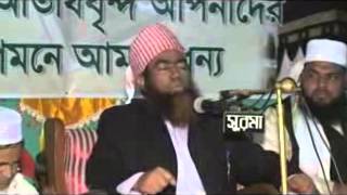 Maulana Jubaer Ahmed Ansari Bangla waz 2014 [upl. by Annaej529]