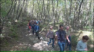 Camminata di 4 Km nel bosco con aperitivo MontemartinoMenconico 29 settembre 2024 [upl. by Heimlich592]