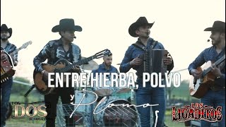 Los Ligaditos Ft Los Dos de Tamaulipas  quotEntre Hierba Polvo Y Plomoquot En Vivo [upl. by Dove]